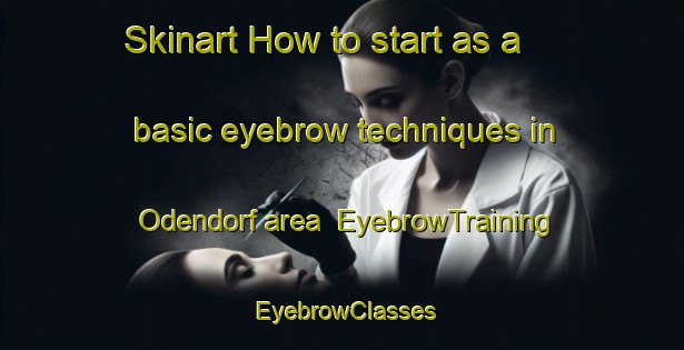 Skinart How to start as a basic eyebrow techniques in Odendorf area | EyebrowTraining | EyebrowClasses | SkinartTraining-Germany