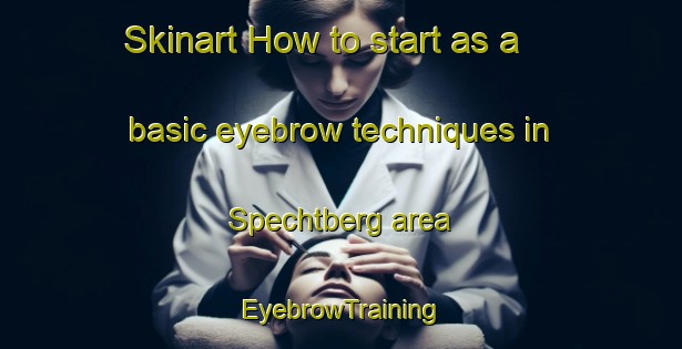 Skinart How to start as a basic eyebrow techniques in Spechtberg area | EyebrowTraining | EyebrowClasses | SkinartTraining-Germany