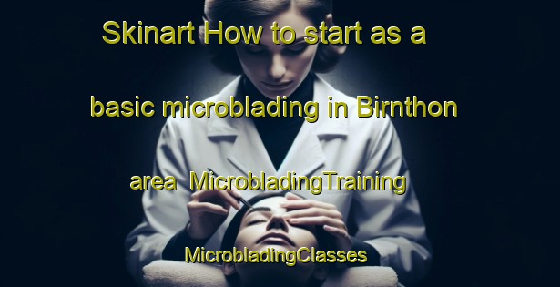 Skinart How to start as a basic microblading in Birnthon area | MicrobladingTraining | MicrobladingClasses | SkinartTraining-Germany