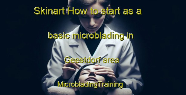 Skinart How to start as a basic microblading in Geestdorf area | MicrobladingTraining | MicrobladingClasses | SkinartTraining-Germany