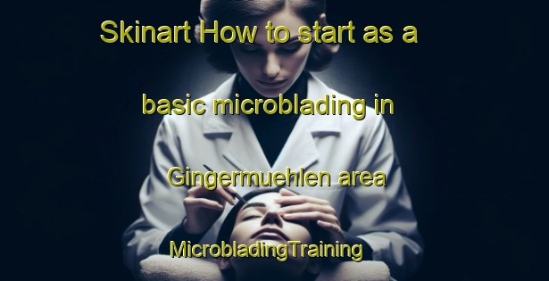 Skinart How to start as a basic microblading in Gingermuehlen area | MicrobladingTraining | MicrobladingClasses | SkinartTraining-Germany