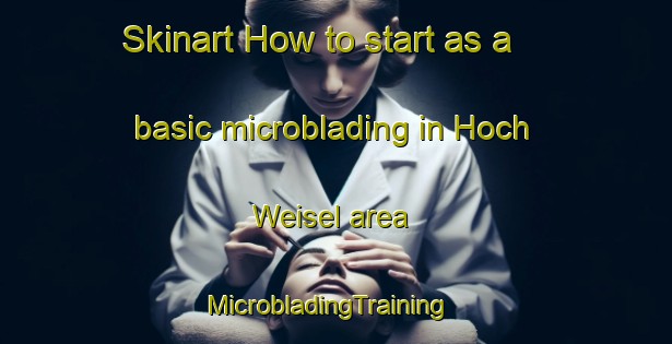 Skinart How to start as a basic microblading in Hoch Weisel area | MicrobladingTraining | MicrobladingClasses | SkinartTraining-Germany