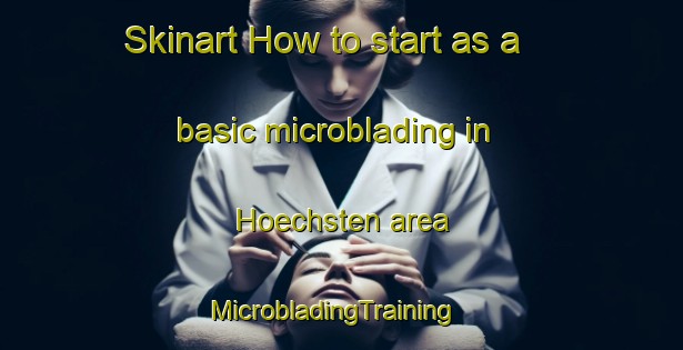 Skinart How to start as a basic microblading in Hoechsten area | MicrobladingTraining | MicrobladingClasses | SkinartTraining-Germany
