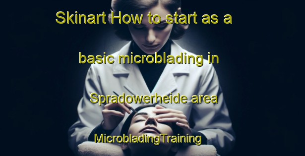 Skinart How to start as a basic microblading in Spradowerheide area | MicrobladingTraining | MicrobladingClasses | SkinartTraining-Germany