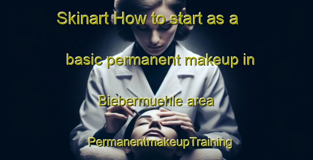 Skinart How to start as a basic permanent makeup in Biebermuehle area | PermanentmakeupTraining | PermanentmakeupClasses | SkinartTraining-Germany