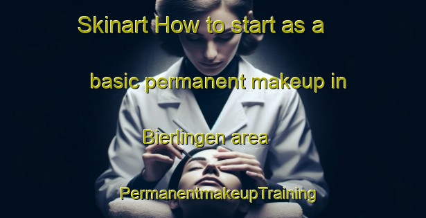 Skinart How to start as a basic permanent makeup in Bierlingen area | PermanentmakeupTraining | PermanentmakeupClasses | SkinartTraining-Germany