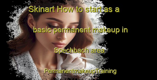 Skinart How to start as a basic permanent makeup in Spechbach area | PermanentmakeupTraining | PermanentmakeupClasses | SkinartTraining-Germany