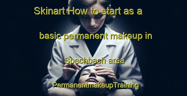 Skinart How to start as a basic permanent makeup in Spechbach area | PermanentmakeupTraining | PermanentmakeupClasses | SkinartTraining-Germany