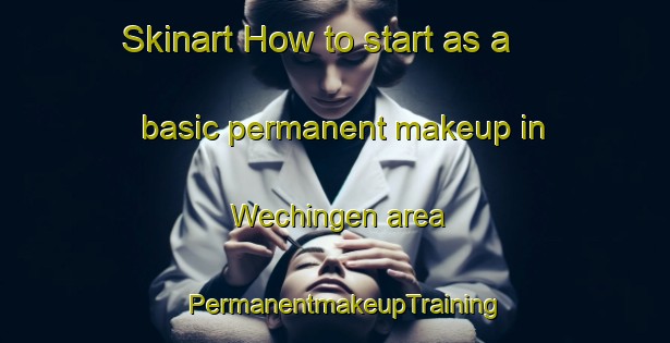 Skinart How to start as a basic permanent makeup in Wechingen area | PermanentmakeupTraining | PermanentmakeupClasses | SkinartTraining-Germany