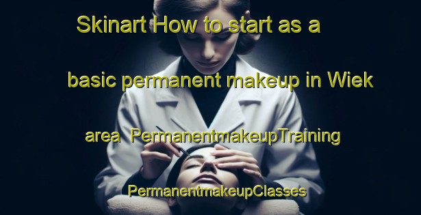 Skinart How to start as a basic permanent makeup in Wiek area | PermanentmakeupTraining | PermanentmakeupClasses | SkinartTraining-Germany