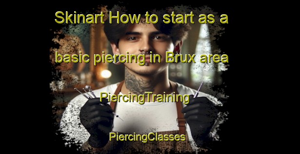 Skinart How to start as a basic piercing in Brux area | PiercingTraining | PiercingClasses | SkinartTraining-Germany
