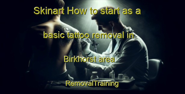Skinart How to start as a basic tattoo removal in Birkhorst area | RemovalTraining | RemovalClasses | SkinartTraining-Germany