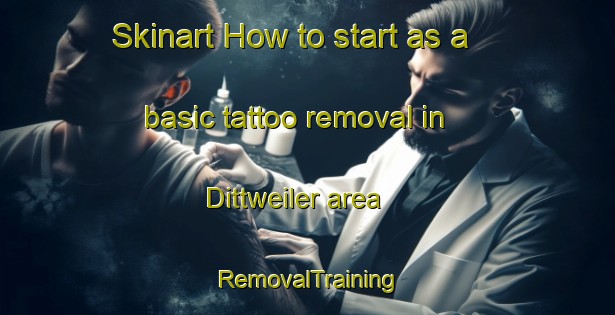 Skinart How to start as a basic tattoo removal in Dittweiler area | RemovalTraining | RemovalClasses | SkinartTraining-Germany