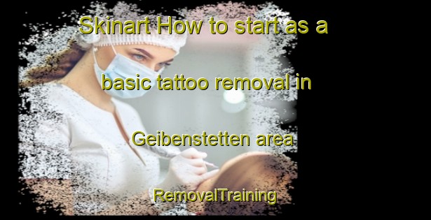 Skinart How to start as a basic tattoo removal in Geibenstetten area | RemovalTraining | RemovalClasses | SkinartTraining-Germany