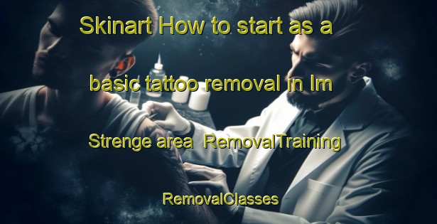 Skinart How to start as a basic tattoo removal in Im Strenge area | RemovalTraining | RemovalClasses | SkinartTraining-Germany