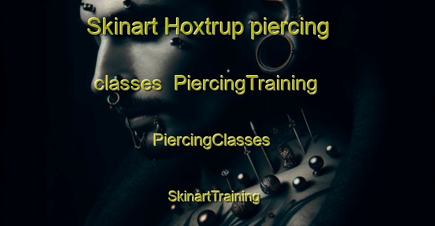 Skinart Hoxtrup piercing classes | PiercingTraining | PiercingClasses | SkinartTraining-Germany