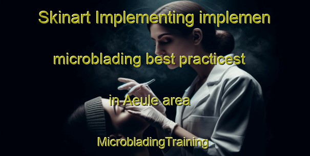 Skinart Implementing implemen microblading best practicest in Aeule area | #MicrobladingTraining #MicrobladingClasses #SkinartTraining-Germany