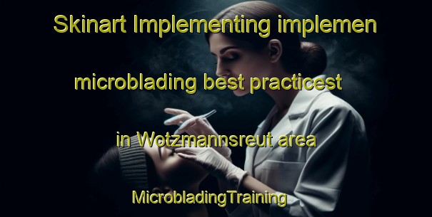 Skinart Implementing implemen microblading best practicest in Wotzmannsreut area | MicrobladingTraining | MicrobladingClasses | SkinartTraining-Germany