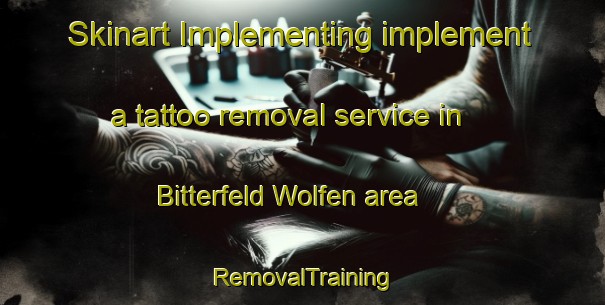 Skinart Implementing implement a tattoo removal service in Bitterfeld Wolfen area | RemovalTraining | RemovalClasses | SkinartTraining-Germany