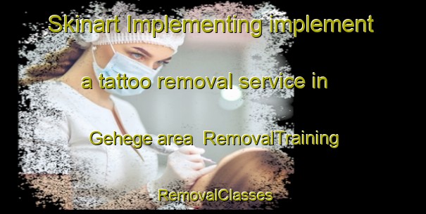 Skinart Implementing implement a tattoo removal service in Gehege area | RemovalTraining | RemovalClasses | SkinartTraining-Germany