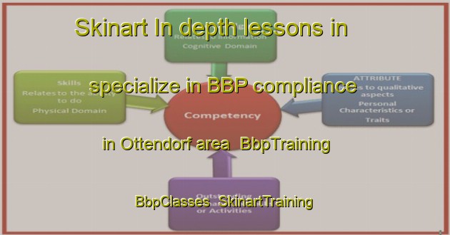 Skinart In-depth lessons in specialize in BBP compliance in Ottendorf area | BbpTraining | BbpClasses | SkinartTraining-Germany