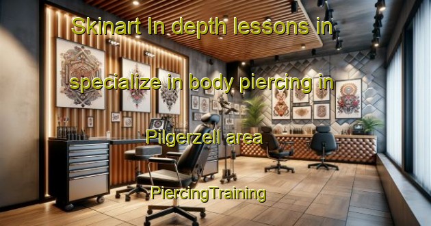 Skinart In-depth lessons in specialize in body piercing in Pilgerzell area | PiercingTraining | PiercingClasses | SkinartTraining-Germany