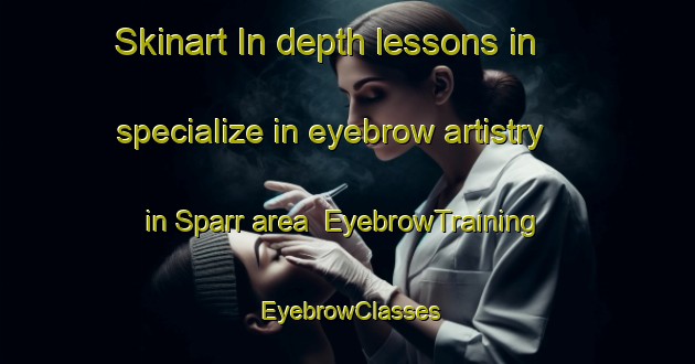 Skinart In-depth lessons in specialize in eyebrow artistry in Sparr area | EyebrowTraining | EyebrowClasses | SkinartTraining-Germany