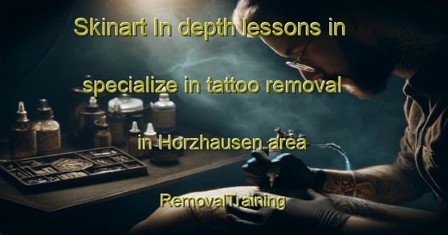 Skinart In-depth lessons in specialize in tattoo removal in Horzhausen area | RemovalTraining | RemovalClasses | SkinartTraining-Germany