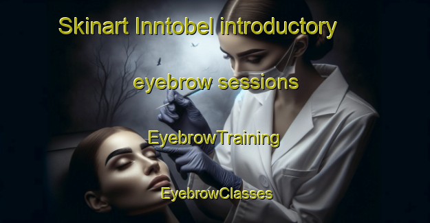 Skinart Inntobel introductory eyebrow sessions | EyebrowTraining | EyebrowClasses | SkinartTraining-Germany