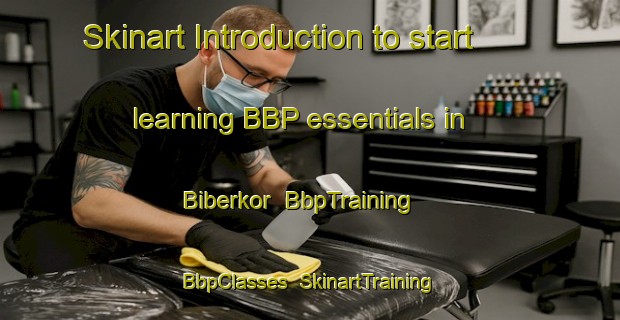 Skinart Introduction to start learning BBP essentials in Biberkor | BbpTraining | BbpClasses | SkinartTraining-Germany