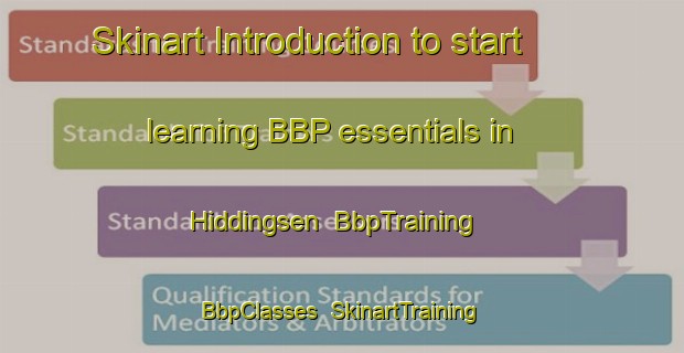 Skinart Introduction to start learning BBP essentials in Hiddingsen | BbpTraining | BbpClasses | SkinartTraining-Germany