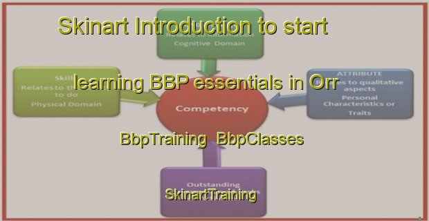 Skinart Introduction to start learning BBP essentials in Orr | BbpTraining | BbpClasses | SkinartTraining-Germany