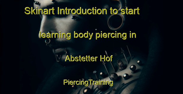 Skinart Introduction to start learning body piercing in Abstetter Hof | PiercingTraining | PiercingClasses | SkinartTraining-Germany