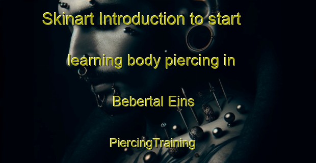 Skinart Introduction to start learning body piercing in Bebertal Eins | PiercingTraining | PiercingClasses | SkinartTraining-Germany