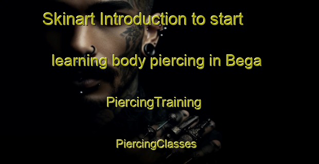 Skinart Introduction to start learning body piercing in Bega | PiercingTraining | PiercingClasses | SkinartTraining-Germany