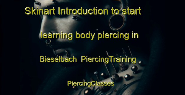 Skinart Introduction to start learning body piercing in Bieselbach | PiercingTraining | PiercingClasses | SkinartTraining-Germany