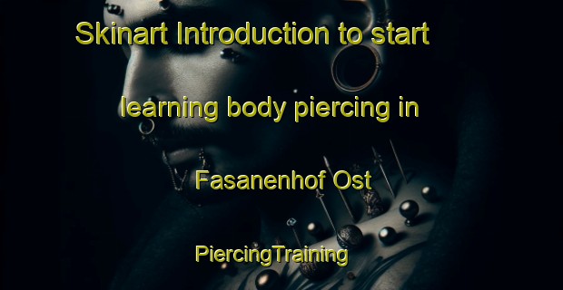 Skinart Introduction to start learning body piercing in Fasanenhof Ost | PiercingTraining | PiercingClasses | SkinartTraining-Germany