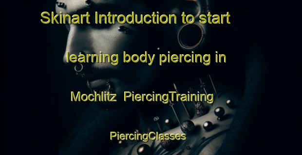 Skinart Introduction to start learning body piercing in Mochlitz | PiercingTraining | PiercingClasses | SkinartTraining-Germany