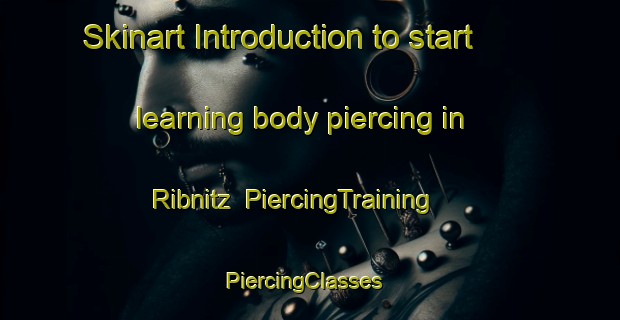 Skinart Introduction to start learning body piercing in Ribnitz | PiercingTraining | PiercingClasses | SkinartTraining-Germany