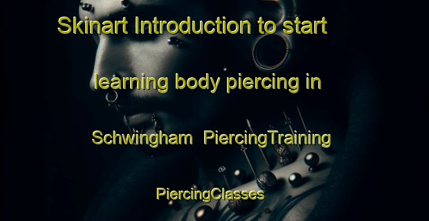 Skinart Introduction to start learning body piercing in Schwingham | PiercingTraining | PiercingClasses | SkinartTraining-Germany