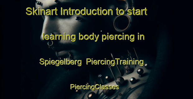 Skinart Introduction to start learning body piercing in Spiegelberg | PiercingTraining | PiercingClasses | SkinartTraining-Germany
