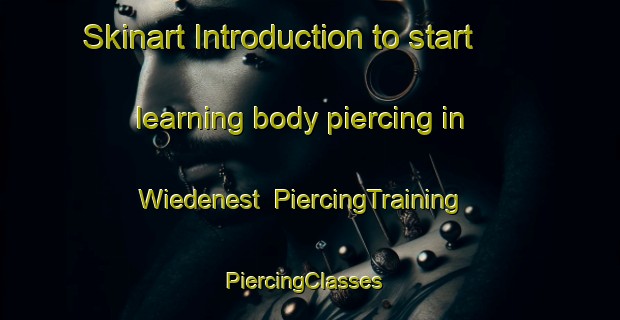 Skinart Introduction to start learning body piercing in Wiedenest | PiercingTraining | PiercingClasses | SkinartTraining-Germany