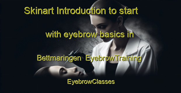 Skinart Introduction to start with eyebrow basics in Bettmaringen | EyebrowTraining | EyebrowClasses | SkinartTraining-Germany