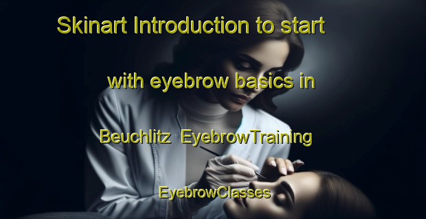 Skinart Introduction to start with eyebrow basics in Beuchlitz | EyebrowTraining | EyebrowClasses | SkinartTraining-Germany