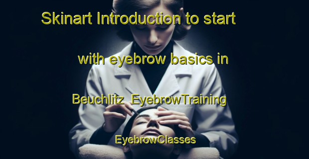 Skinart Introduction to start with eyebrow basics in Beuchlitz | EyebrowTraining | EyebrowClasses | SkinartTraining-Germany