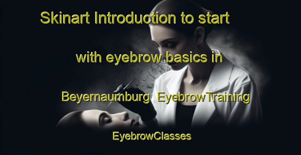 Skinart Introduction to start with eyebrow basics in Beyernaumburg | EyebrowTraining | EyebrowClasses | SkinartTraining-Germany