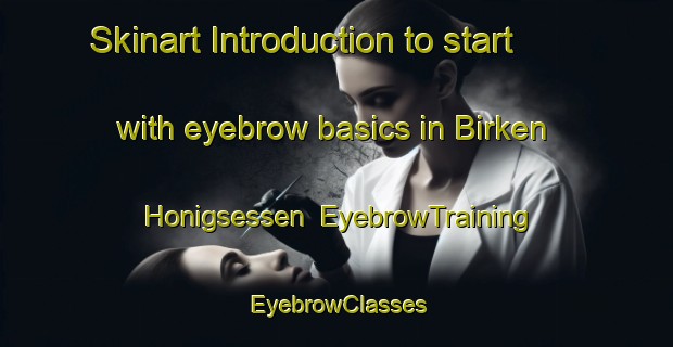Skinart Introduction to start with eyebrow basics in Birken Honigsessen | EyebrowTraining | EyebrowClasses | SkinartTraining-Germany