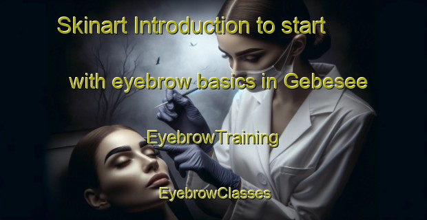 Skinart Introduction to start with eyebrow basics in Gebesee | EyebrowTraining | EyebrowClasses | SkinartTraining-Germany