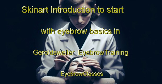 Skinart Introduction to start with eyebrow basics in Geroldsweiler | EyebrowTraining | EyebrowClasses | SkinartTraining-Germany