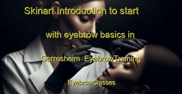 Skinart Introduction to start with eyebrow basics in Gerresheim | EyebrowTraining | EyebrowClasses | SkinartTraining-Germany